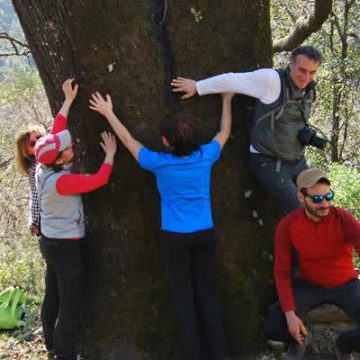 Dieci motivi per piantare un albero (Giornata mondiale delle foreste e dei boschi)