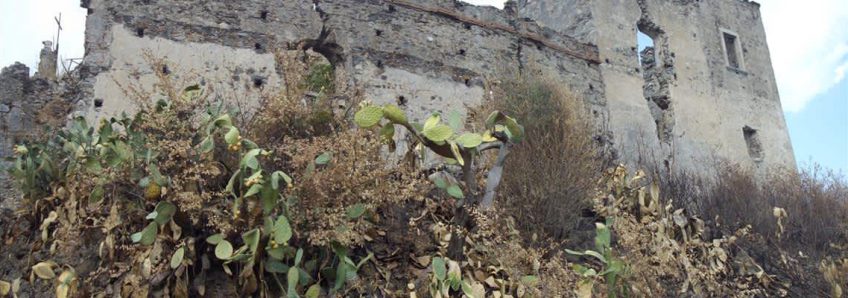 LA CALABRIA BRUCIA. PROCLAMIAMO UN MESE DI LUTTO (E DI RIFLESSIONE) NAZIONALE (di Francesco Bevilacqua)