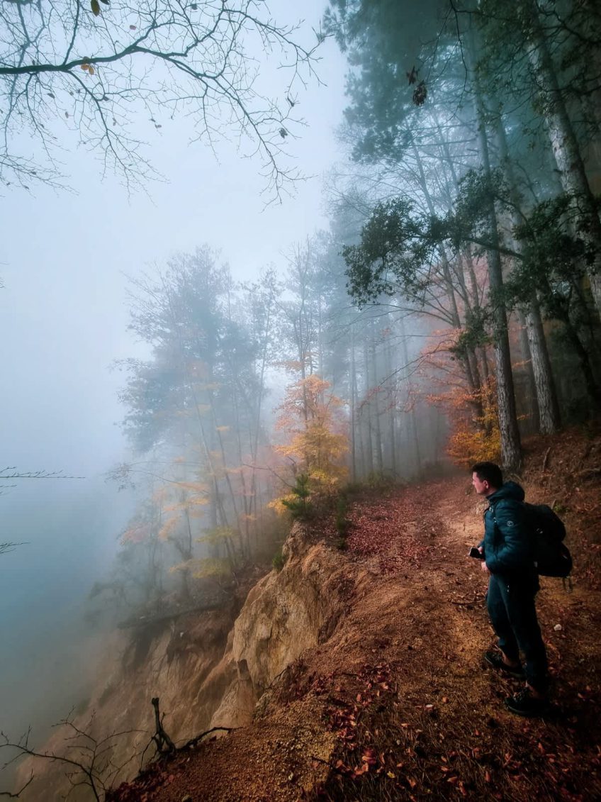 Niente mi rende così felice…