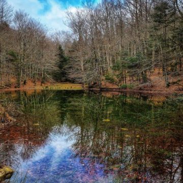 IL LAGHETTO DELLA VITA