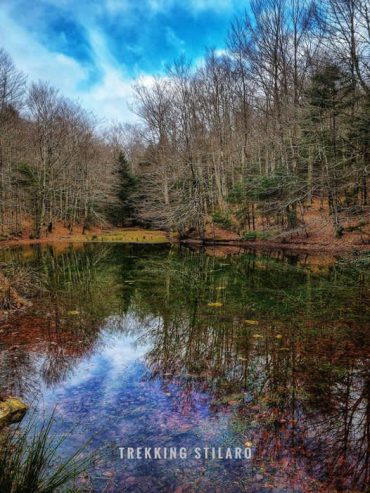 IL LAGHETTO DELLA VITA